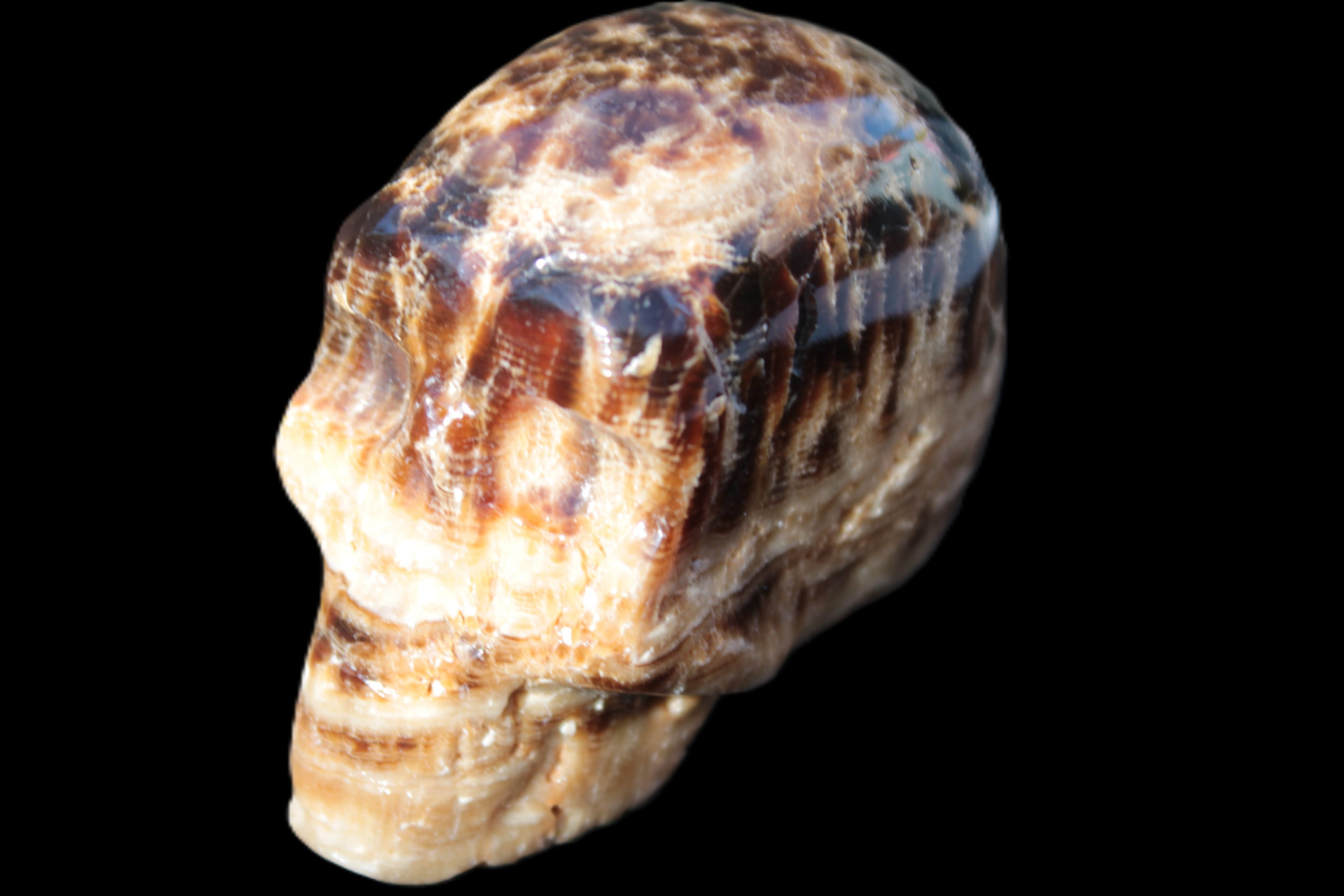 Chocolate Calcite hand-carved skull 37*61*50mm  152.7g Rocks and Things