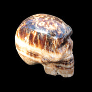 Chocolate Calcite hand-carved skull 37*61*50mm  152.7g Rocks and Things
