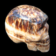 Chocolate Calcite hand-carved skull 37*61*50mm  152.7g Rocks and Things