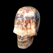 Chocolate Calcite hand-carved skull 37*61*50mm  152.7g Rocks and Things