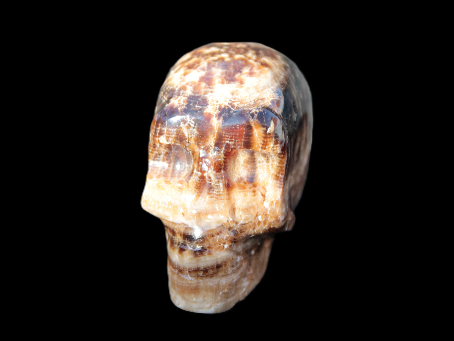 Chocolate Calcite hand-carved skull 37*61*50mm  152.7g Rocks and Things