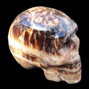 Chocolate Calcite hand-carved skull 37*61*50mm  152.7g Rocks and Things