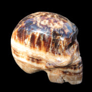 Chocolate Calcite hand-carved skull 37*61*50mm  152.7g Rocks and Things