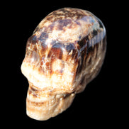 Chocolate Calcite hand-carved skull 37*61*50mm  152.7g Rocks and Things