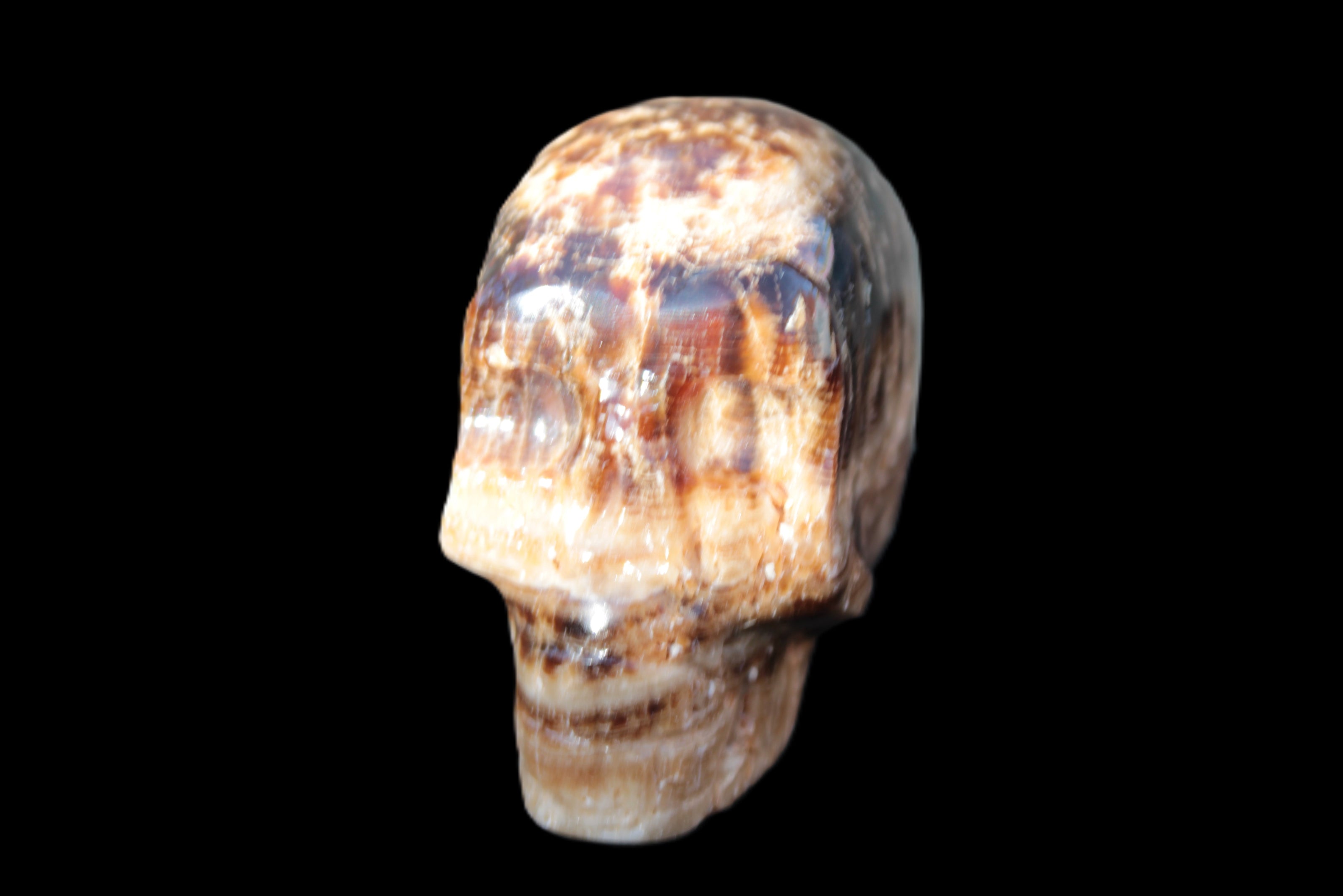 Chocolate Calcite hand-carved skull 37*61*50mm  152.7g Rocks and Things
