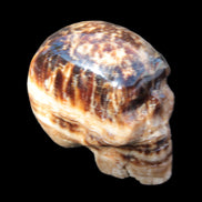 Chocolate Calcite hand-carved skull 37*61*50mm  152.7g Rocks and Things