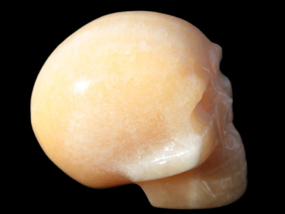 Banded Honey Calcite skull 44-55mm 134-191g Rocks and Things