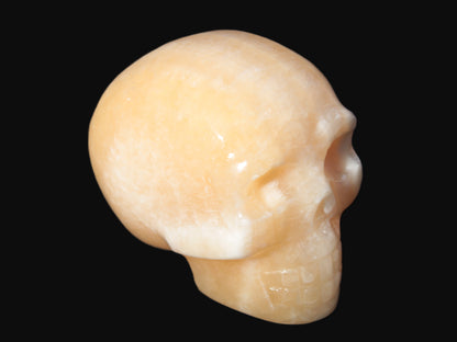 Banded Honey Calcite skull 44-55mm 134-191g Rocks and Things