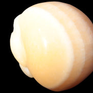 Banded Honey Calcite skull 44-55mm 134-191g Rocks and Things