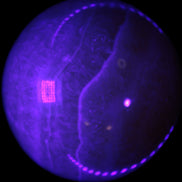 Yellow  Calcite sphere 64/65mm 346-371g  in UV light  - Rocks and Things Store