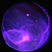 Yellow  Calcite sphere 64/65mm 346-371g  in UV light  - Rocks and Things Store