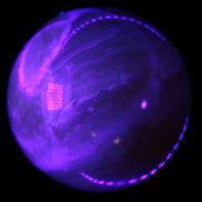 Yellow  Calcite sphere 64/65mm 346-371g  in UV light  - Rocks and Things Store