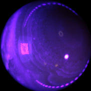 Yellow  Calcite sphere 64/65mm 346-371g  in UV light  - Rocks and Things Store