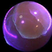 Topaz Honey Calcite sphere 63mm 341g Rocks and Things