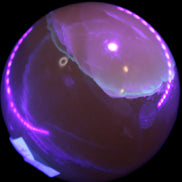 Topaz Honey Calcite sphere 63mm 341g Rocks and Things