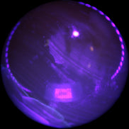 Topaz Honey Calcite sphere 63mm 341g Rocks and Things