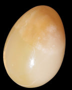 Honey Calcite Egg 47*72mm 252.4g in sunlight - Rocks and Things Store