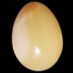 Honey Calcite Egg 47*72mm 252.4g in sunlight - Rocks and Things Store