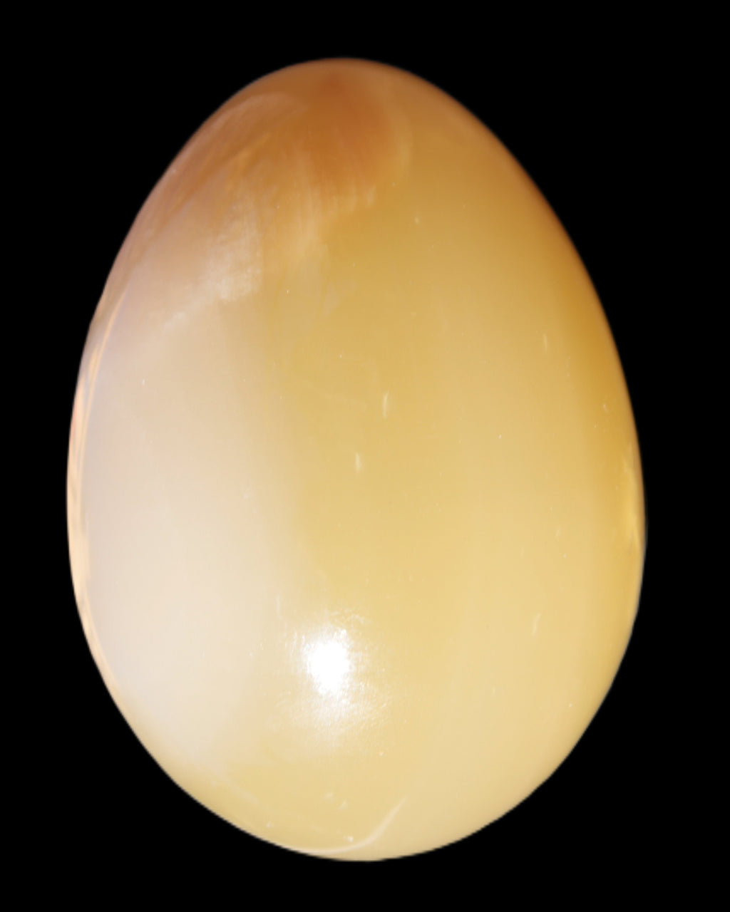 Honey Calcite Egg 47*72mm 252.4g in sunlight - Rocks and Things Store