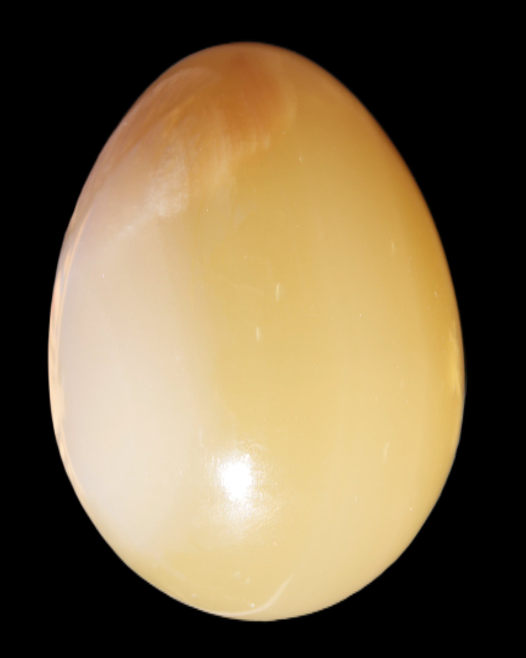 Honey Calcite Egg 47*72mm 252.4g in sunlight - Rocks and Things Store