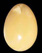 Honey Calcite Egg 47*72mm 252.4g in sunlight - Rocks and Things Store