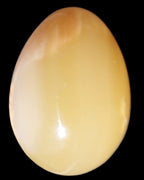 Honey Calcite Egg 47*72mm 252.4g in sunlight - Rocks and Things Store