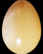 Honey Calcite Egg 47*72mm 252.4g in sunlight - Rocks and Things Store