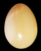 Honey Calcite Egg 47*72mm 252.4g in sunlight - Rocks and Things Store