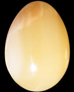 Honey Calcite Egg 47*72mm 252.4g in sunlight - Rocks and Things Store