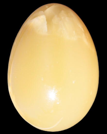 Honey Calcite Egg 47*72mm 252.4g in sunlight - Rocks and Things Store