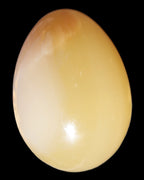 Honey Calcite Egg 47*72mm 252.4g in sunlight - Rocks and Things Store