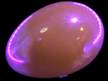 Honey Calcite Egg 47*72mm 252.4g Rocks and Things