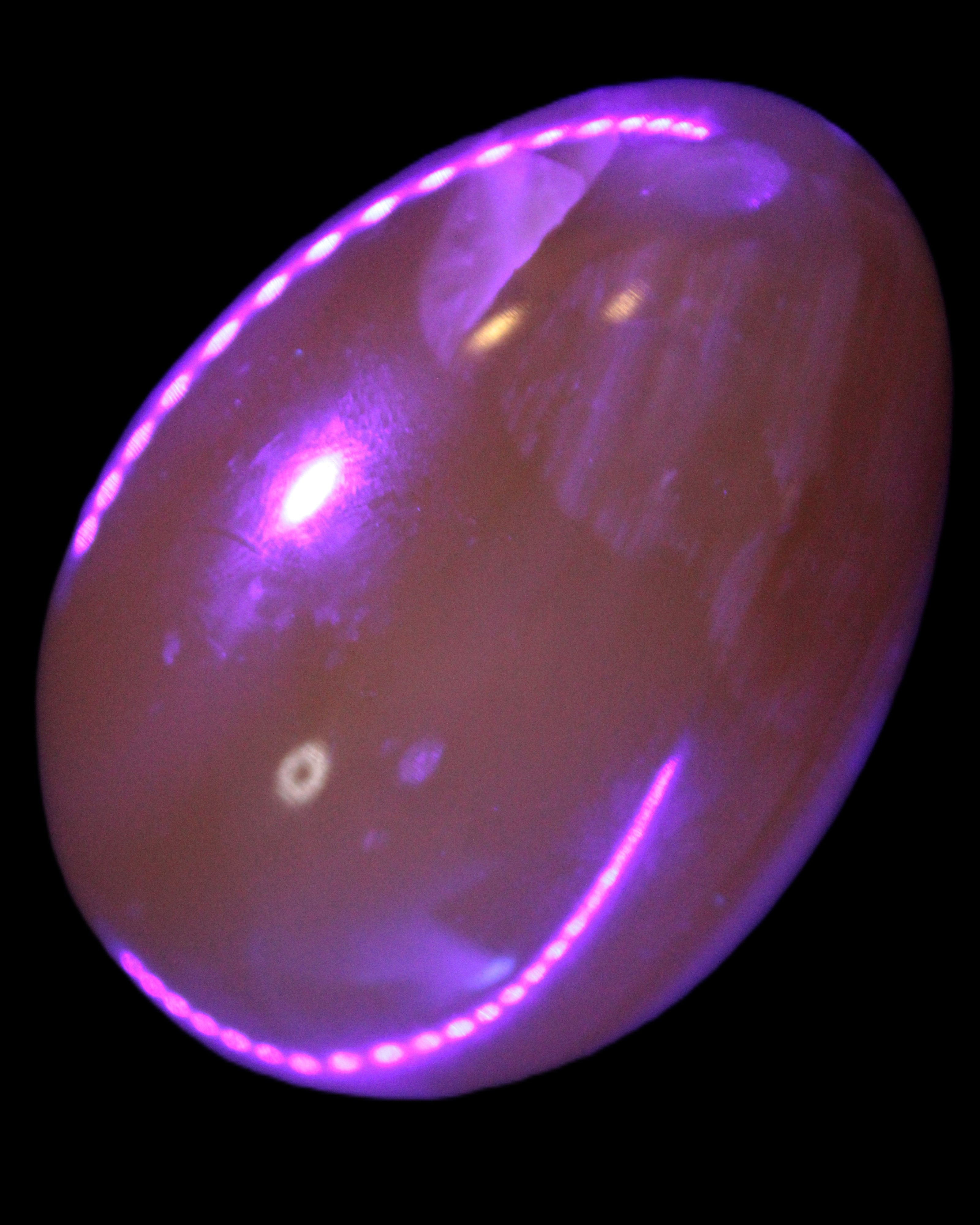 Honey Calcite Egg 47*72mm 252.4g in UV light - Rocks and Things Store