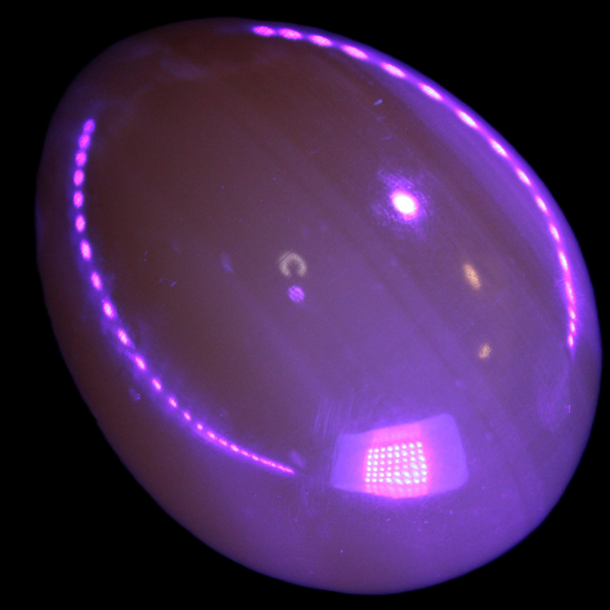 Honey Calcite Egg 47*72mm 252.4g in UV light - Rocks and Things Store