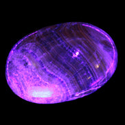 BumbleBee Calcite palm stone 64-70mm 108-130g Rocks and Things