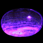 BumbleBee Calcite palm stone 64-70mm 108-130g Rocks and Things