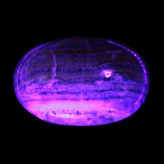 BumbleBee Calcite palm stone 64-70mm 108-130g Rocks and Things