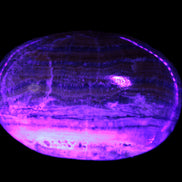 BumbleBee Calcite palm stone 64-70mm 108-130g Rocks and Things