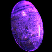 BumbleBee Calcite palm stone 64-70mm 108-130g  in UV light - Rocks and Things Store