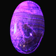 BumbleBee Calcite palm stone 64-70mm 108-130g in UV light - Rocks and Things Store