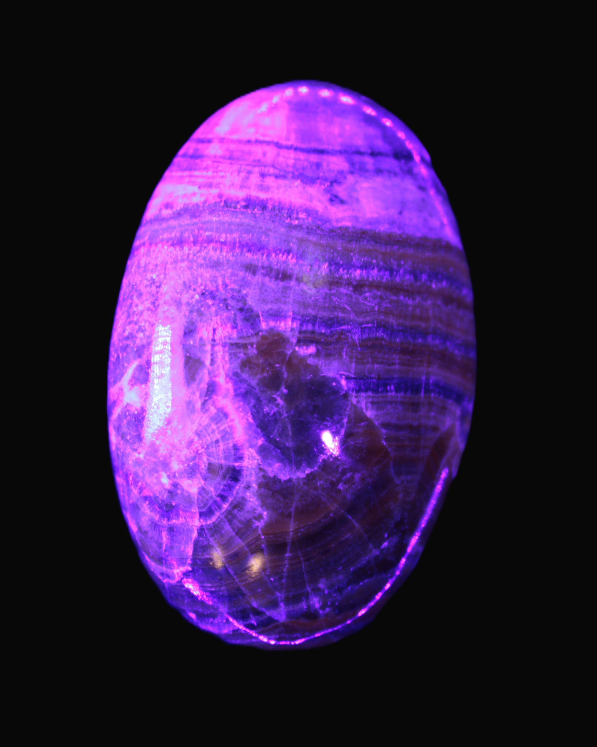 BumbleBee Calcite palm stone 64-70mm 108-130g in UV light - Rocks and Things Store