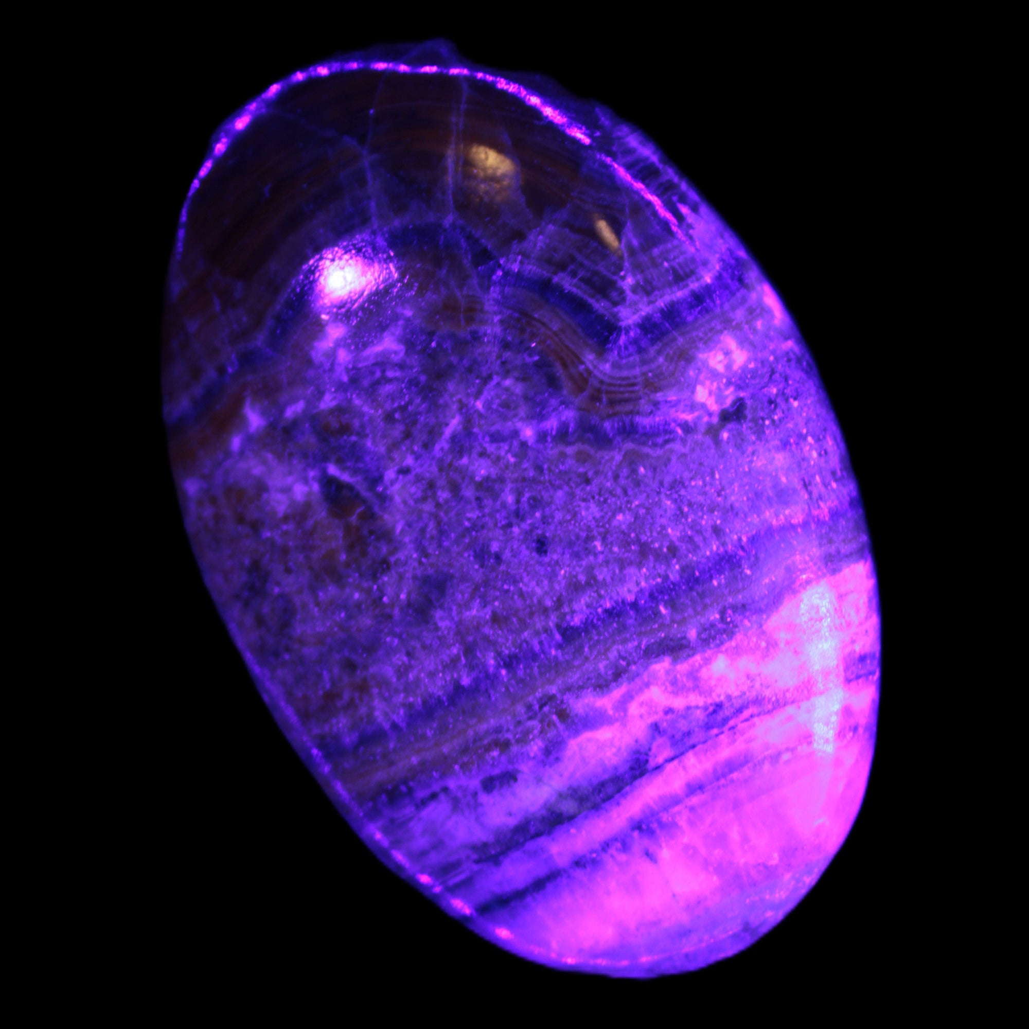 BumbleBee Calcite palm stone 64-70mm 108-130g in UV light - Rocks and Things Store
