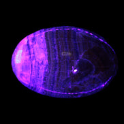 BumbleBee Calcite palm stone 64-70mm 108-130g Rocks and Things