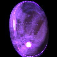 BumbleBee Calcite palm stone 64-70mm 108-130g in UV light - Rocks and Things Store