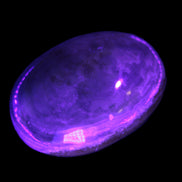 BumbleBee Calcite palm stone 64-70mm 108-130g in UV light - Rocks and Things Store