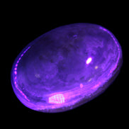 BumbleBee Calcite palm stone 64-70mm 108-130g in UV light - Rocks and Things Store