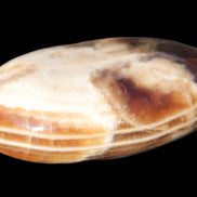 Chocolate Calcite palm stone 58-66mm 91-115g Rocks and Things