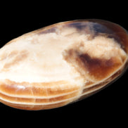 Chocolate Calcite palm stone 58-66mm 91-115g Rocks and Things