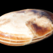 Chocolate Calcite palm stone 58-66mm 91-115g Rocks and Things