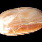 Chocolate Calcite palm stone 58-66mm 91-115g Rocks and Things